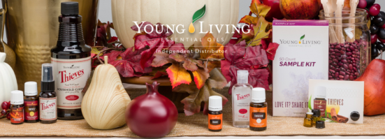 screen-shot-2016-11-11-at-2-36-26-pm