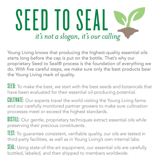 screen-shot-2016-11-11-at-2-53-28-pm